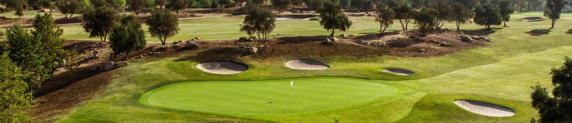 Image of golf ball on tee on grass.