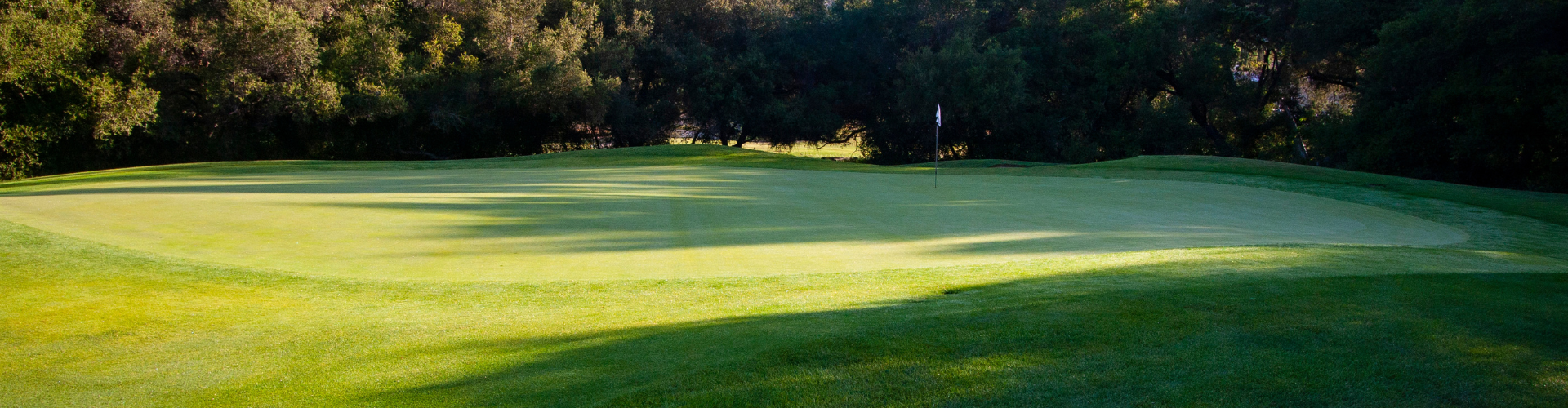 Native Oaks Golf Club - Photo 4